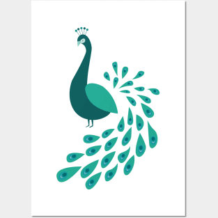 Peacock Posters and Art